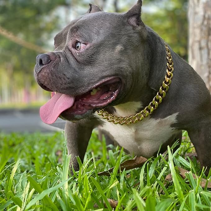 Gold Dog Chain Collar with Design Secure Buckle & ID Tag,18K Cuban Link Strong Heavy Duty Chew Proof Metal Walking Collar for Large Dogs(19MM 20'')