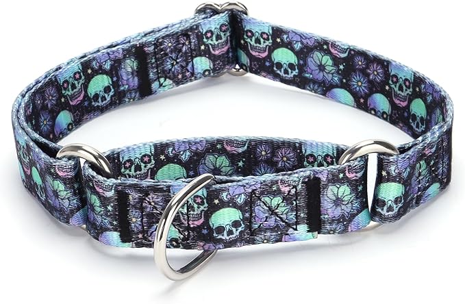 Martingale Dog Collars - Flower Multicolor Cute Patterns, Adjustable Nylon Training Dog Collar Suitable for Boy and Girl Dogs Medium Large Dogs (L, Blue2)