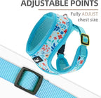 PUPTECK Soft Mesh Dog Harness and Leash Set Pet Puppy Cat Comfort Padded Vest No Pull Harnesses, Blue Floral, S