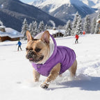 Windproof Waterproof Dog Coat Fleece & Cotton Lined Warm Jacket, Cold Weather Pet Apparel Clothes Vest for Small to Large Dogs (L, Purple)