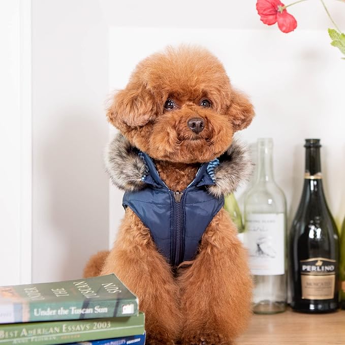 Puppia Hollis Winter Reversible Hooded Winter Dog Coat Warm Comfortable Fashionable for Small and Medium Dogs, Navy, Large