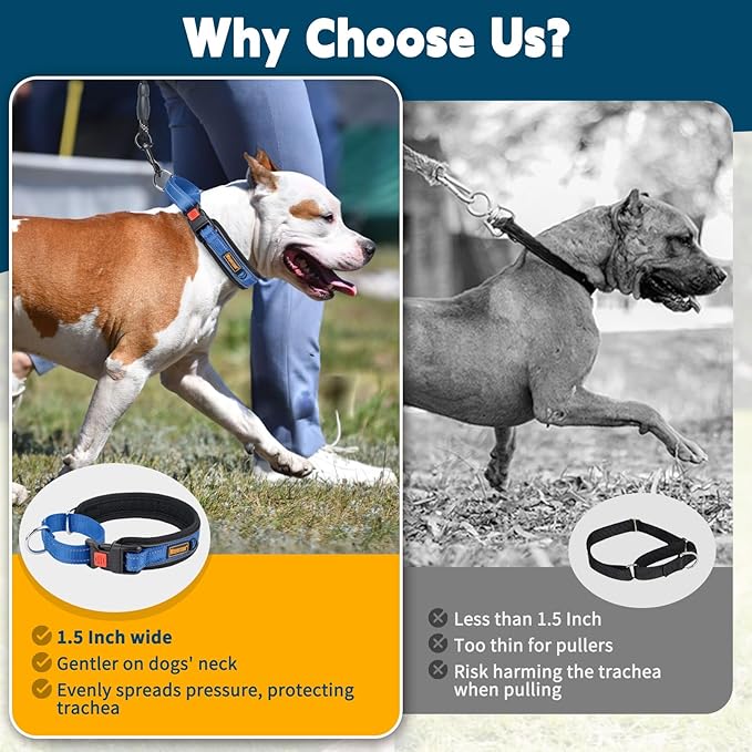 Mayerzon Martingale Collar for Medium Large Dogs, No Pull Dog Collar with Buckle, Soft Padded Reflective Martingale Dog Collar for Training Walking Outdoor(Blue, M)