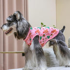 CuteBone Dog Christmas Shirts 2-Pack Soft Pet Clothes Breathable Summer Vest for Small Puppy and Stretchy Cat Apparel 2BX16S