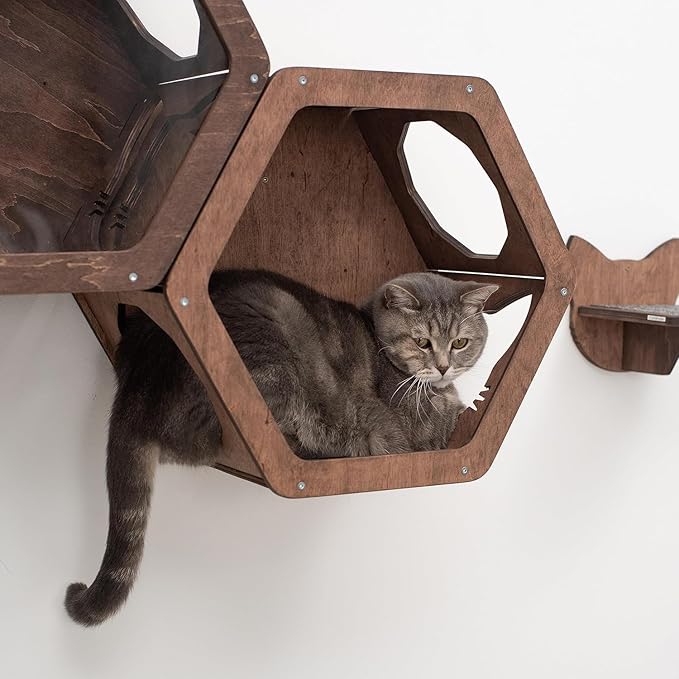 Wall Cat Shelves Wood Shelves Furniture - Wooden Shelf Wall Mounted Furniture - Indoor Cats Rustic Decor Lover Gift (Cat Wall Bed)