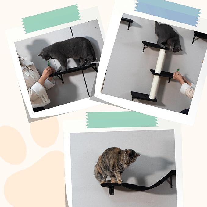COZIWOW Cat Wall Shelves Set, 5-Piece Wall Mounted Cat Furniture with Cat Tree & Scratching Post, Floating Cat Perches for Indoor Cats（Black）