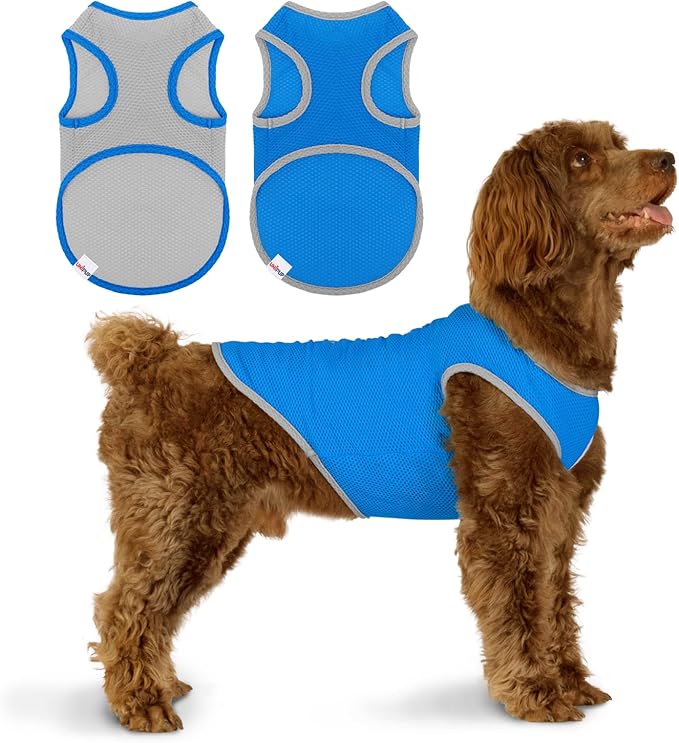 2 Pack Cooling Shirts for Dogs, Lightweight Mesh Breathable Dog Shirt for Small Medium Dogs Boy, Sun-Protection Sleeveless Shirts for Dog&Cat Puppy Vest Pet Apparel P23ST00602XL