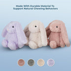 Best Pet Supplies Interactive Squeaky Dog Chew Toy, Ideal Dog Toys for Chewers, Small, Medium & Large Dogs, and Fetch Lovers - Bunny (Mauve), Medium