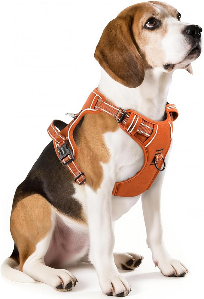 HEELE Dog Harness for Medium Dogs No Pull Dog Vest Harness with Soft Padded Handle Reflective for Outdoor Training, Pumpkin Orange, M