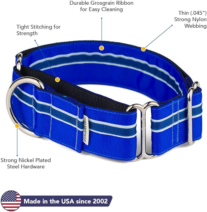 If It Barks - 1.5" Martingale Collar for Dogs - Adjustable - Nylon - Strong and Comfy - Ideal for Training - Made in USA - Small, Blueberry