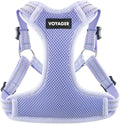 Best Pet Supplies Voyager Adjustable Step-in Flex Breathable Mesh Dog Harness for Small Medium Large Dogs (Lavender), S