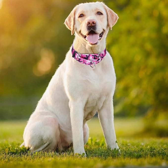 Thick Martingale Collar for Dogs, No-Slip Escape Proof Choke No Pull Cinch Soft Nylon Dog Training Collars Adjustable for Small Medium Large Breed Pet Dogs, Pink Camo S