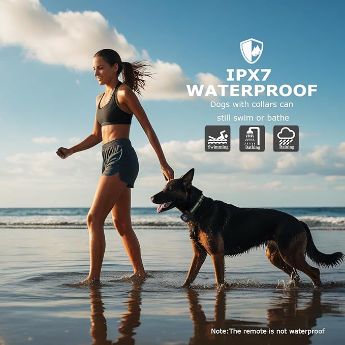 Dog Training Collar 2 Dogs Upgraded 2600FT Remote Rechargeable Waterproof Electric Shock Collar with Beep Vibration Shock for All Dogs (5-120lbs), Black