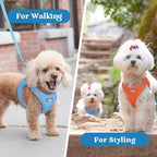 rabbitgoo Small Dog Harness, Step-in Soft Mesh Puppy Vest with Safety Buckle, Breathable Reflective Pet Harness for Large Dogs, Blue XXL
