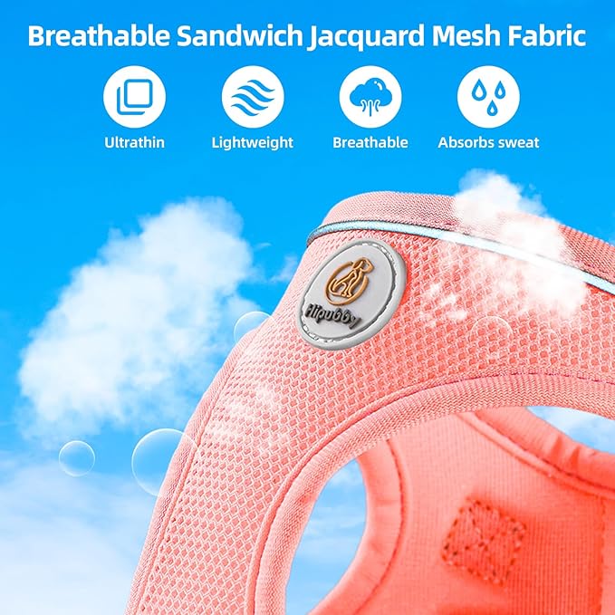 Hipubby Dog Harness and Leash Set, No Pull Soft Mesh Puppy Harness for Small Medium Dogs, Cats - Step in Reflective Breathable Lightweight Vest Harness for Walking, Training - Pink, S