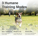 SafeShock® (Latest Model) - Dog Collar with Remote Control, Dog Training Collar with Remote - Beep & Vibration First, Adjustable Levels, 4200FT Range, for Small, Medium & Large Dogs