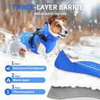 Dog Winter Coat Reflective Water-Resistant Jacket, Fleece Lined Windproof Puppy Coat with Back Zipper & D-Ring, Cold Weather Dog Coats for Small Medium Dogs (M,Blue)