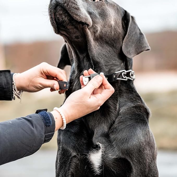 Herm Sprenger 3mm Prong Collar for Dog Training with Adjustable Length & Easy Quick Release Cliclock & Swivel Ring for Large Dogs (20-26" Neck)