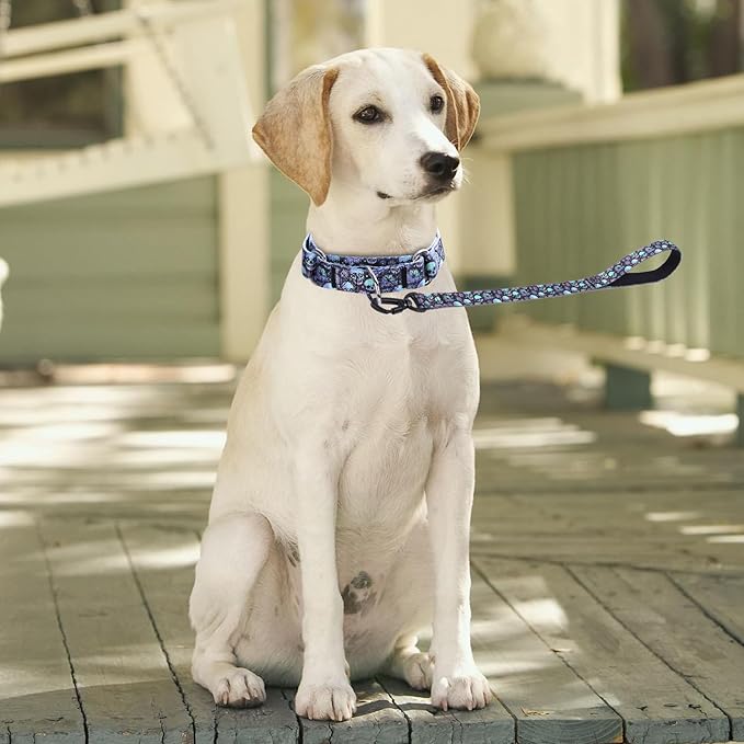 Martingale Collar and Leash Set, Premium No Slip Martingale Collar for Dogs Medium Large, Girl Dog Collars Training (NO26, M)