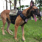 ICEFANG GN3 Tactical Dog Harness with 6X Buckle,Dog Molle Vest with Handle,3/4 Body Coverage,Hook and Loop Panel for ID Patch,No Pulling Front Clip (L (28"-35" Girth), Black)