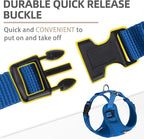PUPTECK Small Dog Harness and Leash Set, No Pull Adjustable Puppy Cat Harness, Reflective Soft Mesh Pet Vest Small Sized, Blue, XS