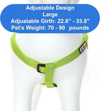 Pawtitas Reflective Step-in Dog Harness – Adjustable No-Pull Vest for Puppies to Seniors, Safe & Comfortable, L Green