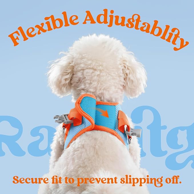 rabbitgoo Dog Harness Small Sized and Leash Set, Step-in Breathable Pet Harness, Soft Walking Reflective Puppy Vest for Small Dogs, Light Blue & Orange, M