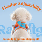 rabbitgoo Dog Harness Small Sized and Leash Set, Step-in Breathable Pet Harness, Soft Walking Reflective Puppy Vest for Small Dogs, Light Blue & Orange, M