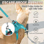 Dog Harness Step in Dog Vest Harness, Reflective Adjustable Puppy No Pull Harness Breathable Soft for Small and Medium Dogs Cats, Ocean Blue, XS