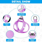 Hipubby Dog Harness and Leash Set, No Pull Soft Mesh Puppy Harness for Small Medium Dogs, Cats - Step in Reflective Breathable Lightweight Vest Harness for Walking, Training - Purple, XXS