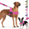 Lukovee No Pull Dog Harness & Leash Set - Heavy Duty Dog Vest Harness with Soft Padded for Medium Large Dogs, Adjustable Reflective Tactical Pet Harness for Easy Walk and Training (S, FU)