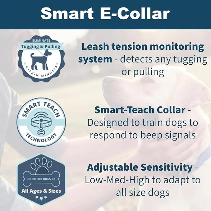 Vibrating Dog Collar Dog Training Collar Petsafe Replacement Collar Vibration Collar for Dogs Dog Leash Anti Pulling Anti Tugging Dog Training Collar with Leash Rechargeable, Andino.