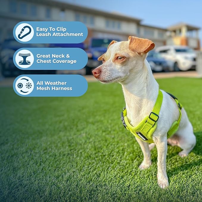 Best Pet Supplies Voyager Step-in Air All Weather Mesh Harness and Reflective Dog 5 ft Leash Combo with Neoprene Handle, for Small, Medium and Large Breed Puppies - Set (Lime Green), M