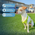 Best Pet Supplies Voyager Step-in Air All Weather Mesh Harness and Reflective Dog 5 ft Leash Combo with Neoprene Handle, for Small, Medium and Large Breed Puppies - Set (Lime Green), M