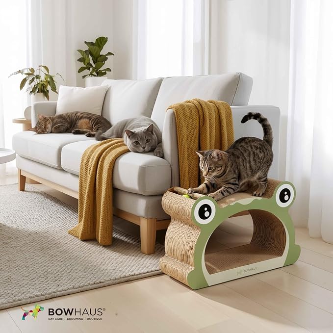 Frog Style Cat Scratching Board, Cat Scratcher Lounger with Play Ball for Indoor Cat, Durable & Long-Lasting Scratching Board Cardboard, Furniture Protector Scratching Pad