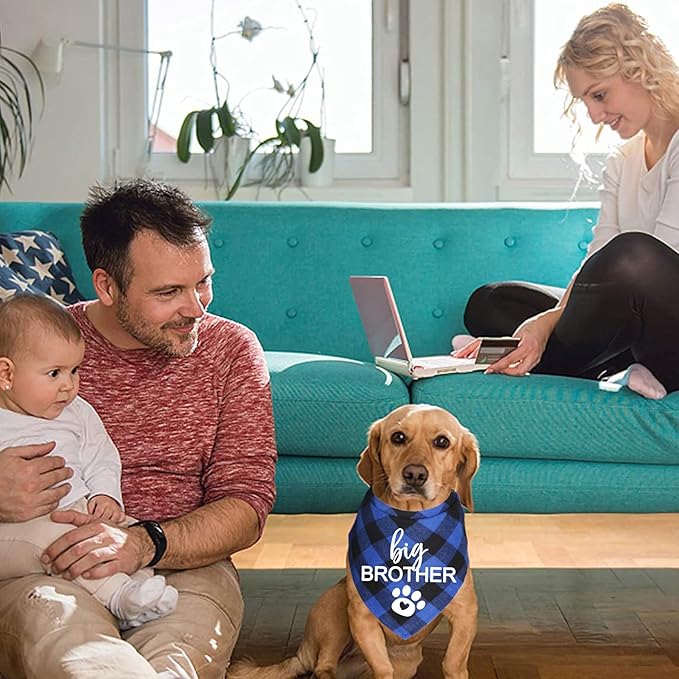 Big Brother Big Sister Dog Bandana, Plaid Pregnancy Announcement Dog Bandanas for Dogs (Blue and Pink, Big Brother and Big Sister)