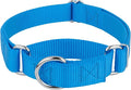 Country Brook Petz - Martingale Dog Collar - Heavy-Duty Training Collar with No Buckle - Service Dog Collar for All Pups - 10+ Cool Colors (Ice Blue, 3/8 Inch, 3XS)