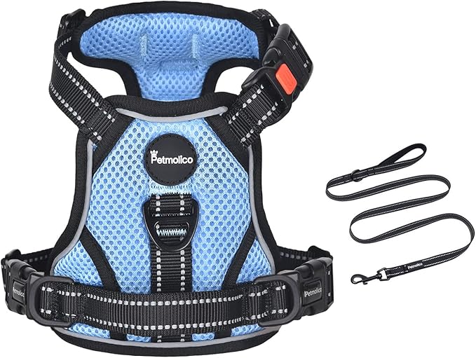 Petmolico No Pull Dog Harness and Leash Set, No Choke 4 Leash Attchments Easy Control Handle Soft Padded Reflective Vest Dog Harness for Medium Dog Breed, Sky Blue Medium