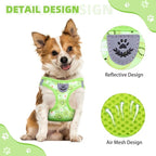 KOOLTAIL Dog Harness and Leash Set for Small Medium Dogs, Step in No Pull Soft Mesh Dog Harness Comfort Padded Pet Vest, Adjustable Reflective Easy Walking Puppy Cats Harness Training, Kiwifruit XS