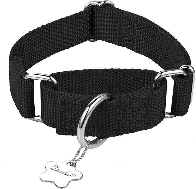 Martingale Dog Collar, Escape-Proof and No Slip Design, Heavy-Duty Nylon with Metal Buckle, Adjustable for Small, Medium & Large Dogs, Colorfast for Training, Daily Walks (Classic Black, M)