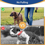 BARKLESS Head Collar for Dogs, No Pull Head Halter for Large Medium Small Dogs, Dog Halter Stops Heavy Pulling, Muzzle Leash with Padded Safety Strap for Walking Training(Black, L)