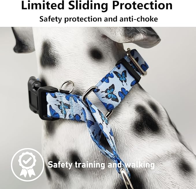 Martingale Dog Collar with Buckle Adjustable Nylon Cute Girl No Pull Anti Escape Training Dog Collars (Blue Butterfly, Medium)