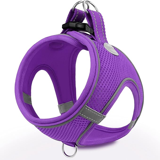 Joytale Small Dog Harness, Breathable Mesh Step-in Vest, Reflective Soft Padded Harnesses for Cats, Puppies and Extra Small Dogs, Purple, XXS