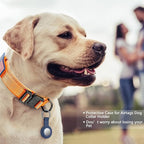 DAGANXI Tactical Dog Collar, Adjustable Military Training Nylon Dog Collar with Control Handle and Heavy Metal Buckle for Medium and Large Dogs, with Patches and Airtags Case (Orange-Set, S)