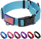 Martingale Collar for Dogs, Reflective Heavy Duty with Quick Release Nylon Buckle-USA Flag-No Pull Training Choker for Walking, Training, Sky Blue,L