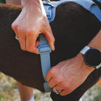Ruffwear, Front Range Flex Dog Harness, Engineered Knit Construction for Ultimate Fit and Mobility, Lightweight Flexible Everyday Harness with Dual Leash Clips, Basalt Gray, XXX-Small
