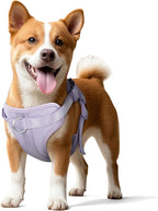 Wisedog Dog Harness Medium Sized, Pet Vest with Front Clip, Adjustable Puppy Harness with 3 Fast Release Buckles[Easy to Put on & Take Off] (Lilac, L)