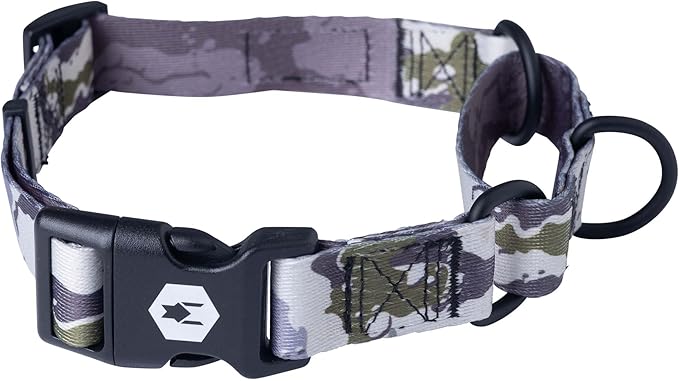 Wolfgang Heavy Duty Martingale Dog Collar with Quick Release Nylon Buckle for Walking & Training, Hideout Print, Large