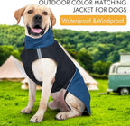 Dog Warm Coats - Windproof Dog Winter Outdoor Jackets Cold Weather Coats for Dog Waterproof Dog Raincoats with Hole for Dog Leash,BY M Blue+Yellow