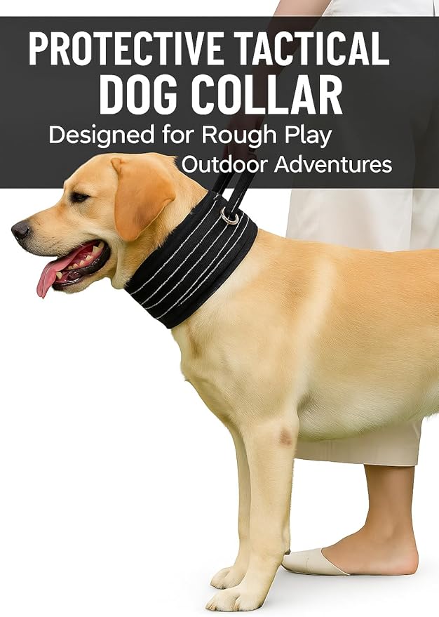 Protective Tactical Dog 4" Wide Collar for Large Dogs – Heavy-Duty Adjustable Nylon Collar with Control Handle, Quick-Release Metal Buckle & D-Ring for Training, Play & Outdoor Safety