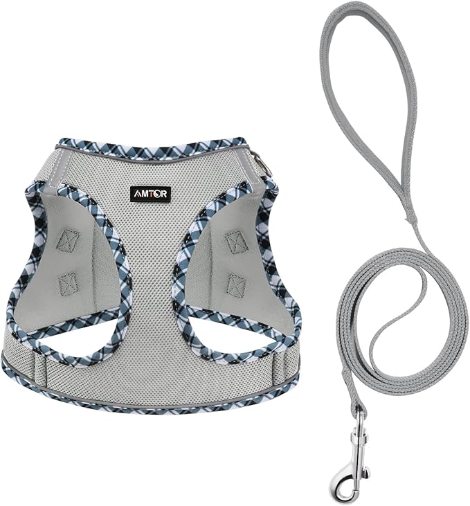 AMTOR Small Dog Harness with Leash Set, No Escape Easy Walk Puppy Harnesses for Training Walking, Step-in Reflective Soft Dogs Vest for XS S Medium Extra-Small Large Sized Dog(M,Grey)